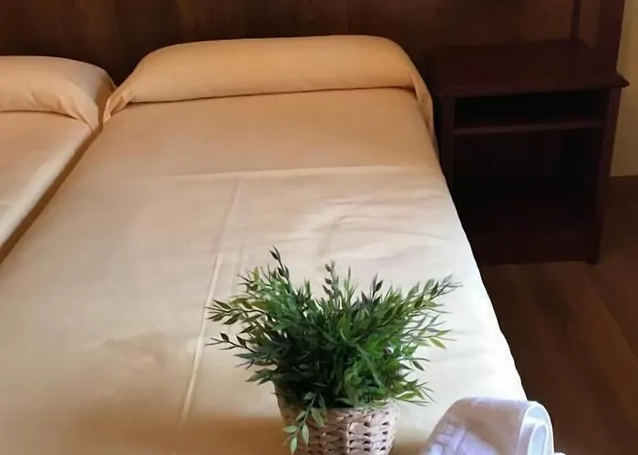 Hotel Palacio De Fiame