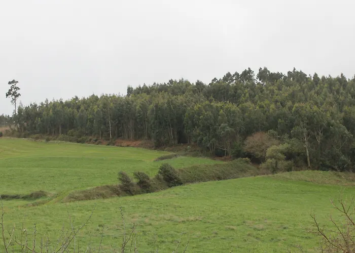 Hotel Palacio De Fiame